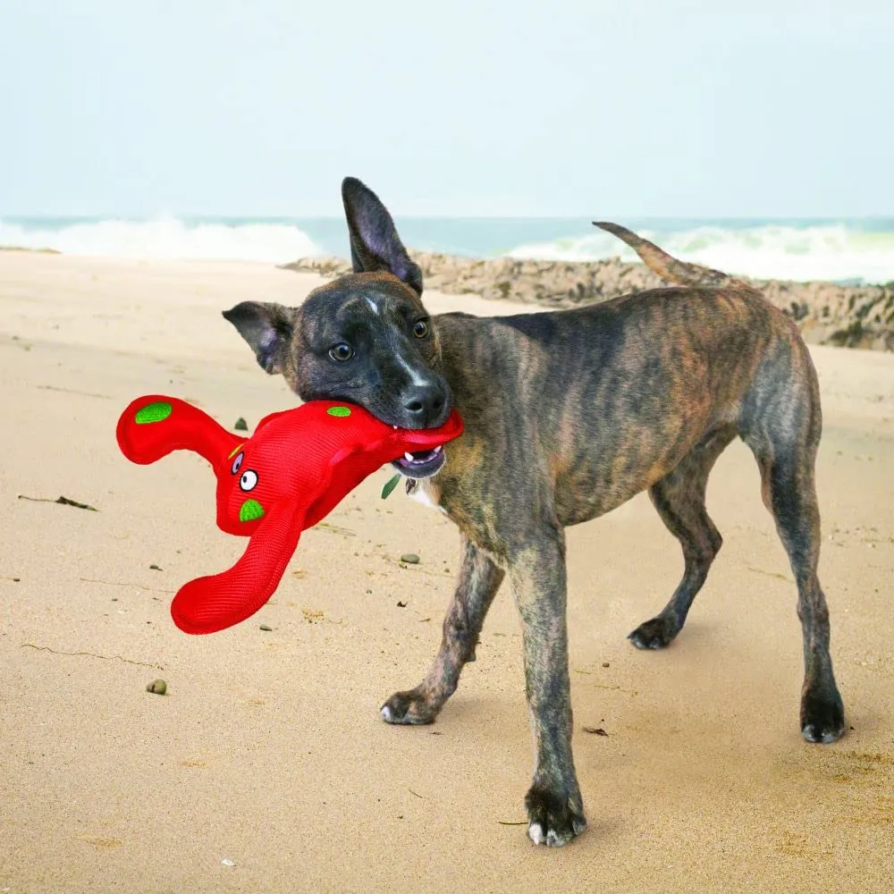 Kong Belly Flops Squeaking Lobster Nylon Dog Toy