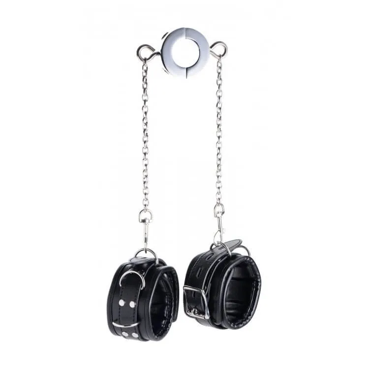 Master Series Hell's Tether Ball Stretcher Humbler